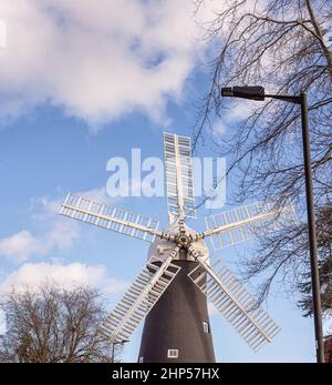 A 18th Century working windmill set in a residential street.  There are tree branches in the foreground and blue sky with cloud above. Stock Photo