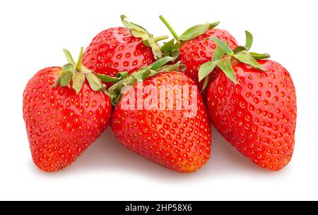 strawberry path isolated on white Stock Photo