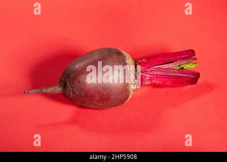 single beetroot on red background Stock Photo