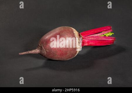 single beetroot on black background Stock Photo