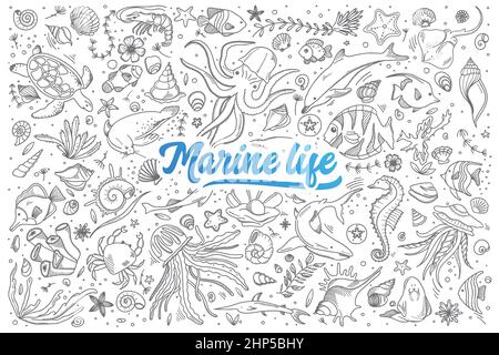 Print Stock Vector