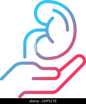 Organ donation gradient linear vector icon Stock Vector