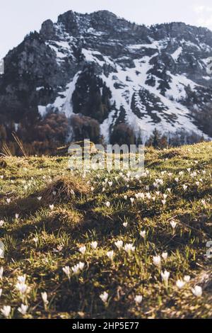 Swiss mountains - monumental rock formations in the Alps Stock Photo ...