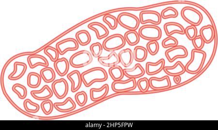 Neon peanut red color vector illustration flat style image Stock Vector