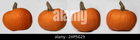 Orange Halloween pumpkins standing in line  isolated over a white background. Stock Photo