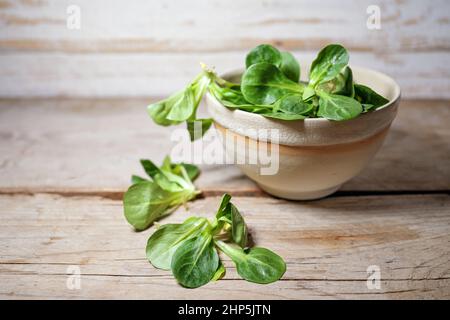 Organic corn salad or lamb's lettuce leaves in a bowl on a rustic wooden table, copy space, selected focus, narrow depth of field Stock Photo