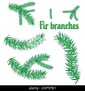 Set of fir branches Stock Vector