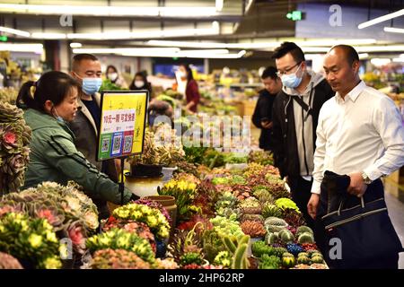 Dounan flower market in Kunming, Yunnan Province, China Stock Photo - Alamy