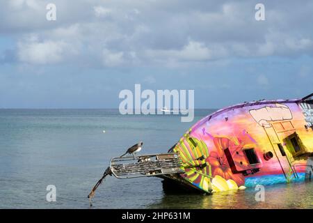 A pelican rests on a multicolored art wreck of a shipwrecked sailboat on the coast of Cozumel island in Mexico Stock Photo