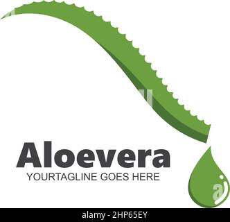 aloevera  icon vector illustration design Stock Vector