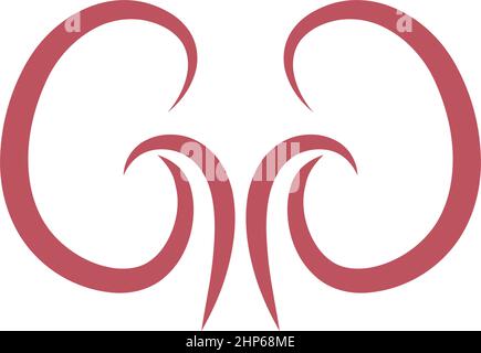 Urology logo, kidney logo icon healty template Stock Vector