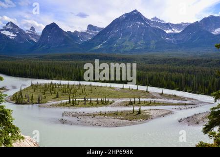 Goats and Glacier Lookout over the Athabasca River in Jasper National Park during Summer Stock Photo
