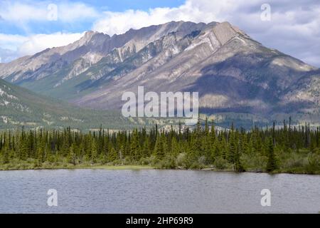 Gargoyle Mountain along the Athabasca River in Jasper National Park during Summer Stock Photo
