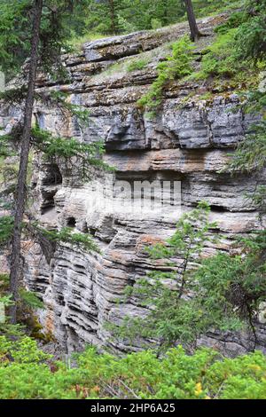 Steep porous rock layers peaking through vegetation at Maligne Canyon in Jasper National Park during Summer Stock Photo