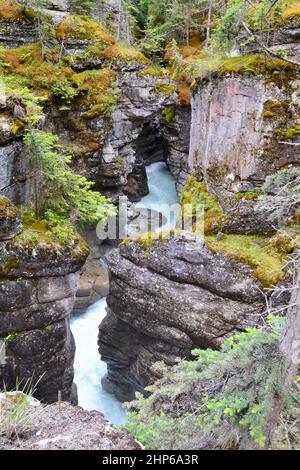 Zigzagging cliffs and flowing river at Maligne Canyon in Jasper National Park during Summer Stock Photo
