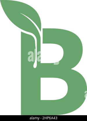 Letter B icon leaf design concept template Stock Vector