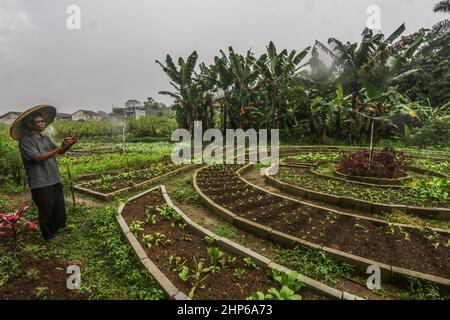 BOGOR, INDONESIA - February 18, 2022: Farm uses internet network as remote control for watering plants in Bogor, Indonesia, February 18, 2022 Stock Photo