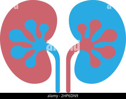 Urology logo, kidney logo icon healty template Stock Vector