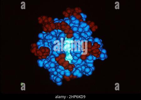 Computer cytochrome C Stock Photo - Alamy