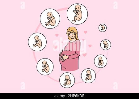 Pregnant woman with embryo development stages Stock Vector