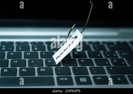 Fishhook stealing a piece of paper with the word Password on it on top of a laptop keyboard Stock Photo