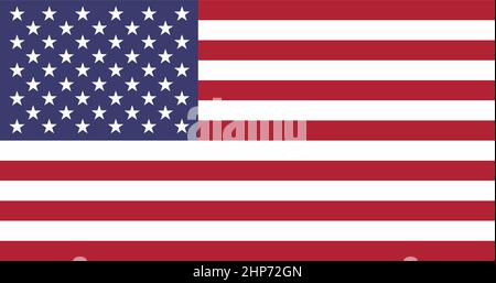 Grunge United States Of America Flag Pattern Stock Vector Image & Art 