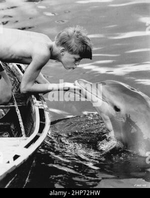 Publicity photo of teen actor Luke Halpin as Sandy Ricks with one of the dolphin performers in the 1963 feature film Flipper Stock Photo