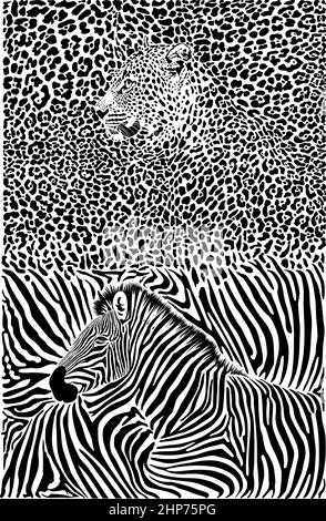 Zebra and Leopard black and white background Stock Vector