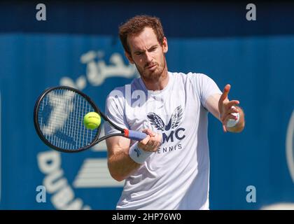 Dubai Duty Free Tennis Championships: Andy Murray to play