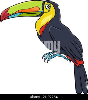 toucan bird animal character cartoon illustration Stock Vector