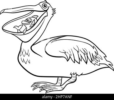 cartoon pelican bird animal character coloring book page Stock Vector