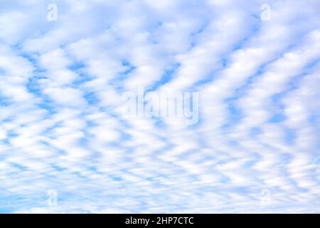 Blue sky and white spindrift cclouds - background, texture, cloudscape pattern Stock Photo