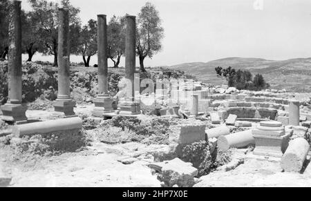 Middle East History: Northern views. The excavations at Samaria. Roman basilica and tribunal  Location:    ca.  1900 Stock Photo