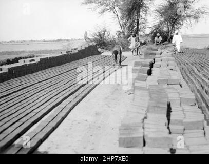 Middle East History: Sudan. Khartoum. Shambat village. Making mud bricks  Location:  Sudan--Shambat  ca.  1936 Stock Photo