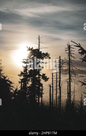 Sun Behind Tree with sky on Hill from mountain view winter sunset orange forest in Czech Republic Stock Photo
