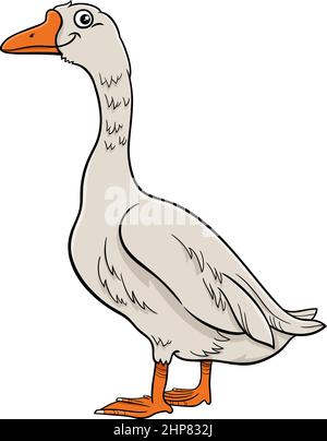 Cartoon illustration of goose bird farm animal character Stock Vector Image  & Art - Alamy