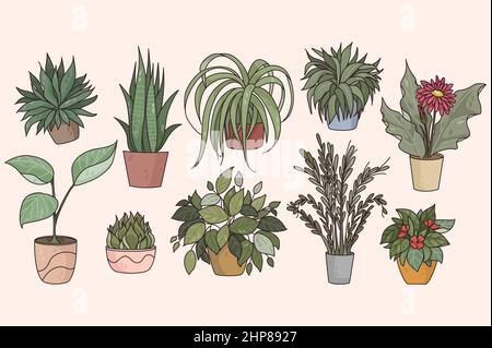 Set of various potted indoor house plants Stock Vector