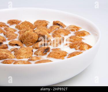 Crispy pads chocolate pillows with milk in dish isolated on the white background Stock Photo