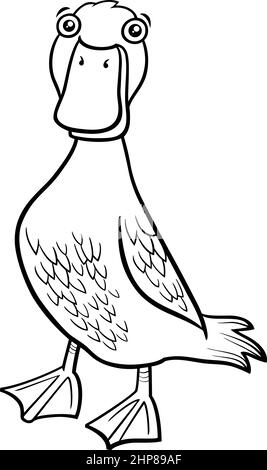 cartoon duck bird farm animal character coloring book page Stock Vector
