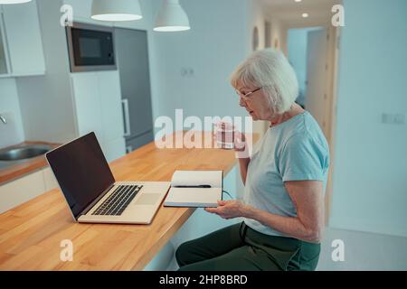 Old lady using laptop while sitting at home Stock Photo
