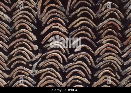 old roof tiles neatly arranged in several piles Stock Photo