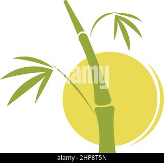 Bamboo tree logo icon design illustration vector Stock Vector