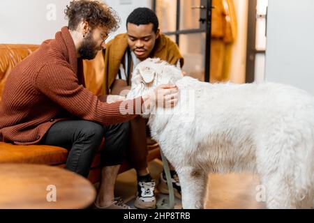 Gay couple having fun with a dog at home Stock Photo