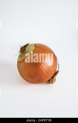 yellow onion isolated on white background Stock Photo