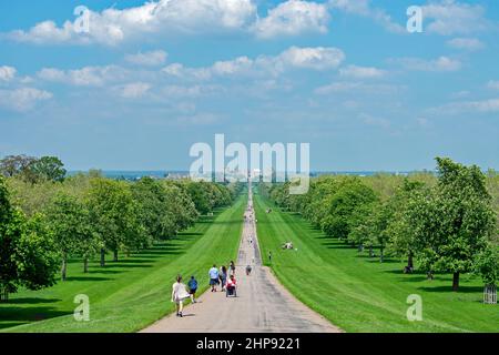 The Long Walk, A tree lined avenue in the royal parks of Windsor.  The pathway leads towards Windsor Castle from Snow Hill.  Berkshire, UK Stock Photo