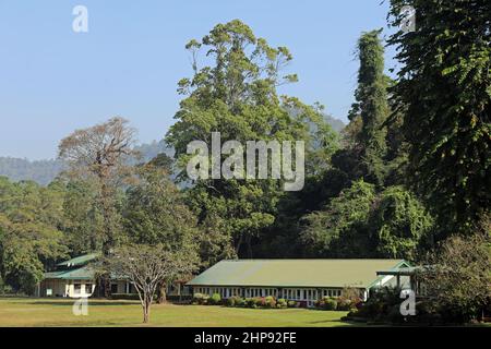 Royal Botanical Gardens at Peradeniya in Sri Lanka Stock Photo
