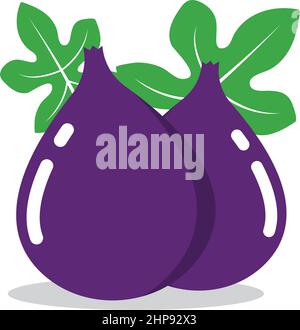 ficus carica or figs fruit icon vector illustration design template Stock Vector