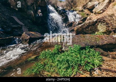 A large waterfall over a rocky cliff Stock Photo