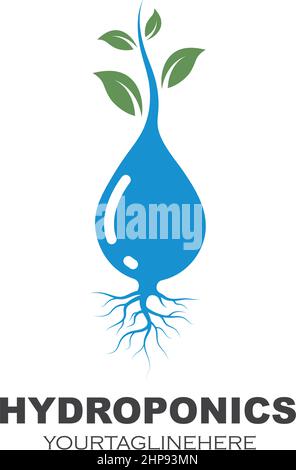 hydroponics icon vector illustration design Stock Vector
