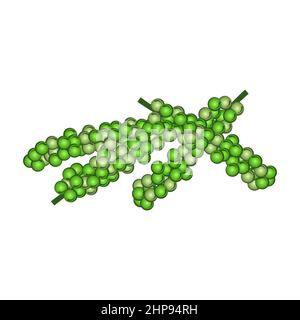 clip art of pepper with cartoon design,vector illustration Stock Vector